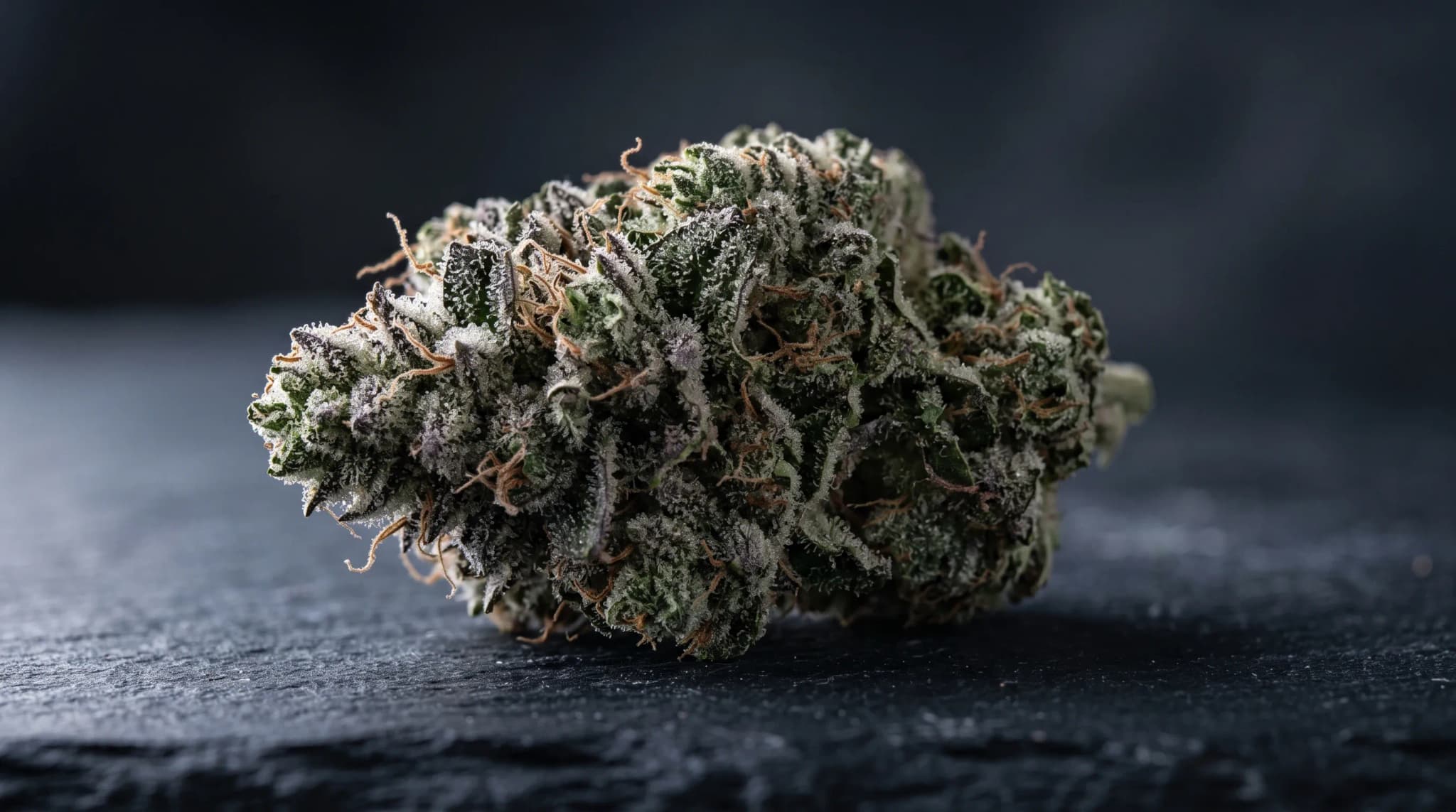 Close-up of a dense cannabis bud covered in frosty trichomes on a dark surface